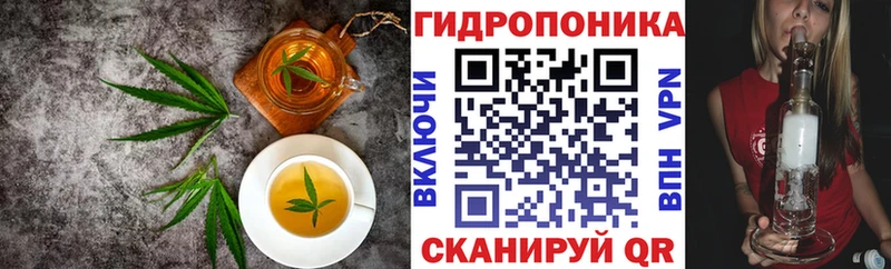закладка  Гаврилов Посад  Canna-Cookies конопля 