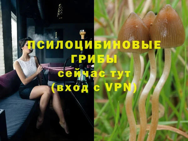марки nbome Арсеньев