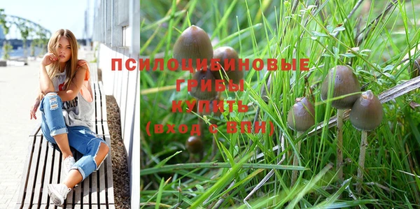 стафф Аркадак