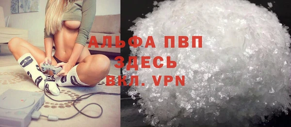 стафф Аркадак