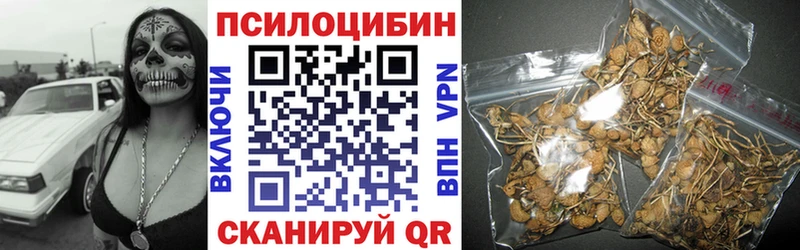 гидра зеркало  Гаврилов Посад  Галлюциногенные грибы Psilocybe 